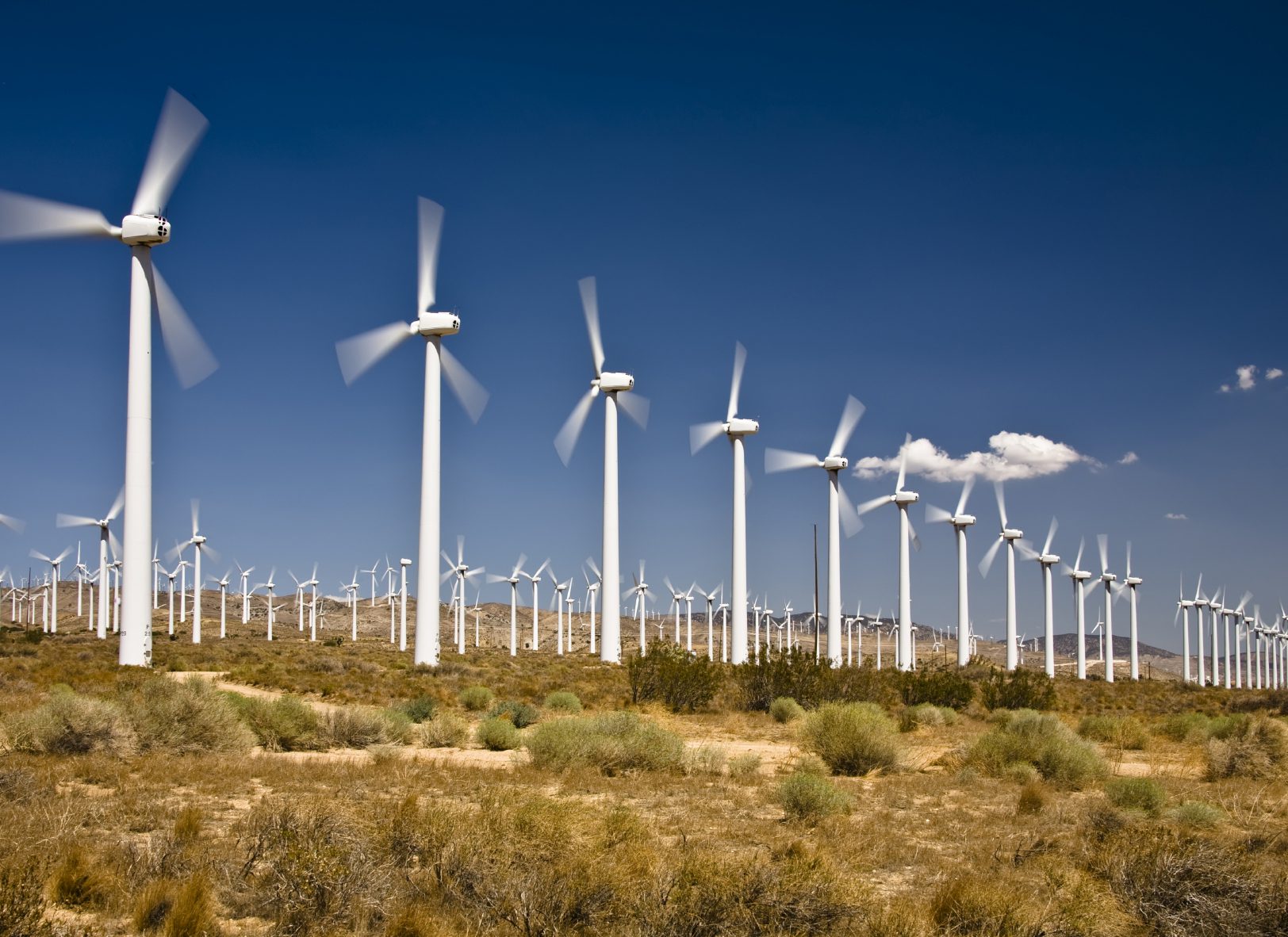Wind farm near Tehachapi, California