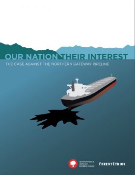 Report: Our Nation Their Interest