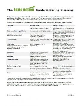 Guide: The Toxic Nation Guide To Spring Cleaning