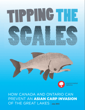 Report: Tipping the Scales: A report about how Canada and Ontario can prevent an Asian carp invasion of the Great Lakes