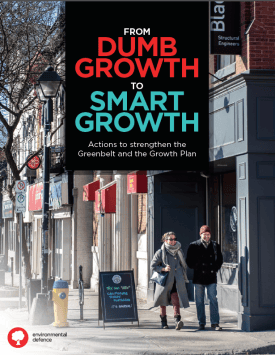 Report: From Dumb Growth to Smart Growth