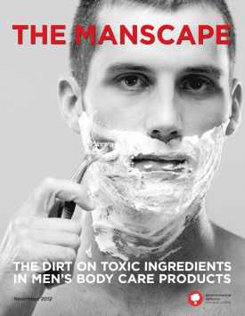 Report: The Manscape
