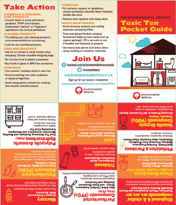 Toxic Ten: Chemicals in the Home