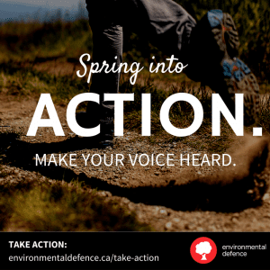 SpringIntoAction2