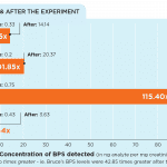 bps experiment graph after receipts
