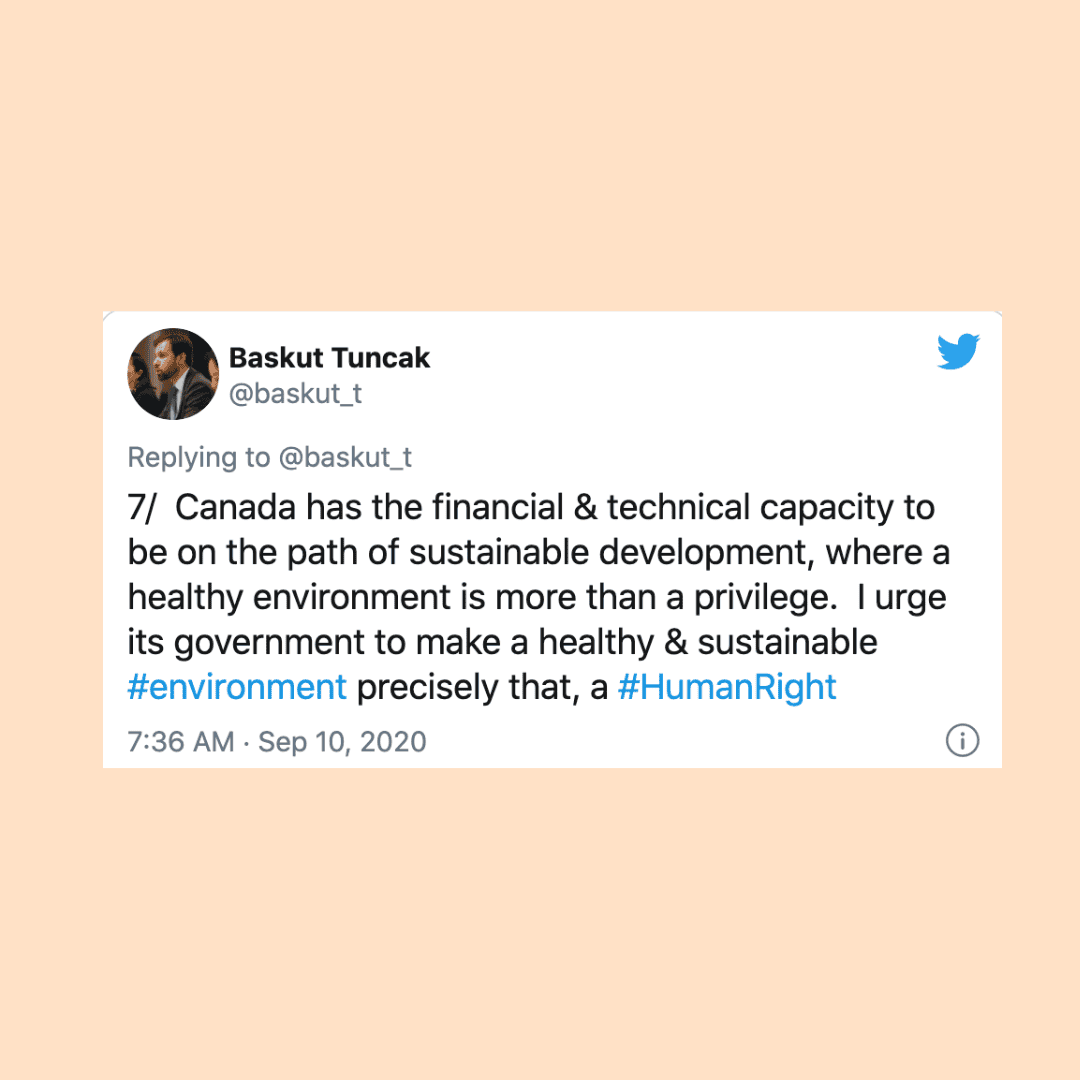 United Nations Special Rapporteur 2020 Canada environmental injustice