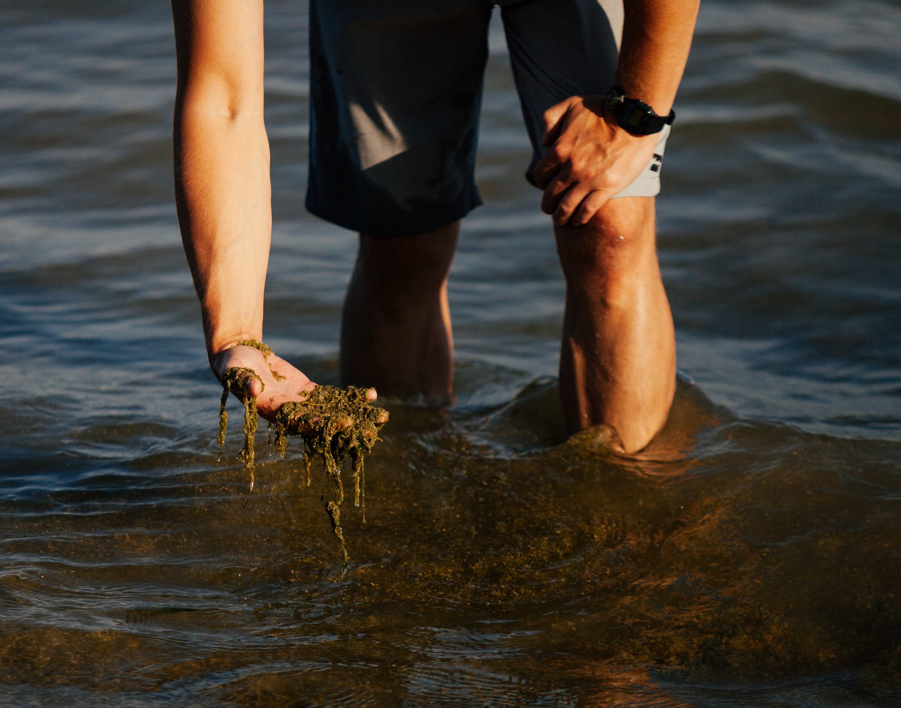 Gregary holds up Cladophora that is in the water.