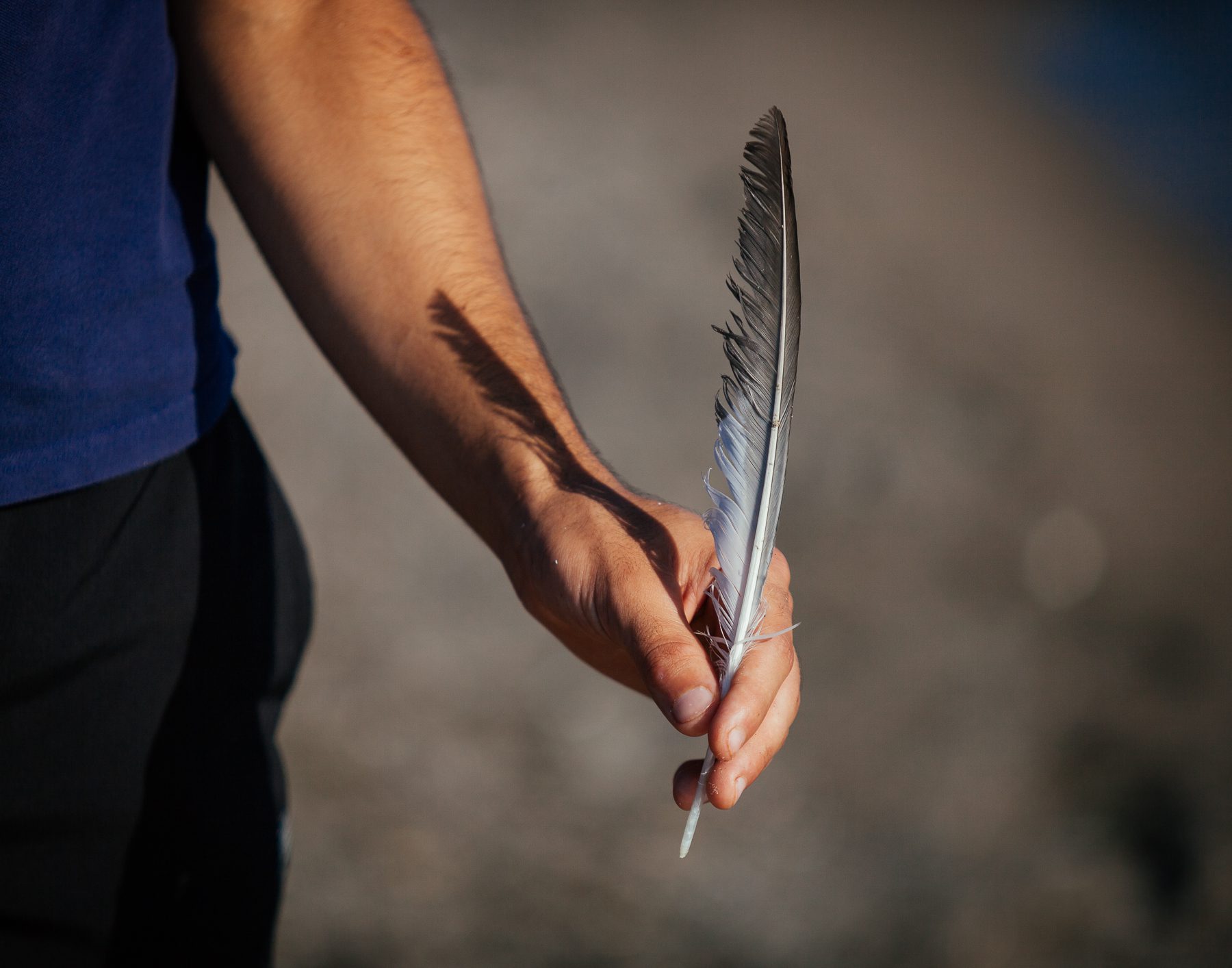 Every time he sees a feather, Mohamad reflects on the harm humans do to the various species living along Lake Erie