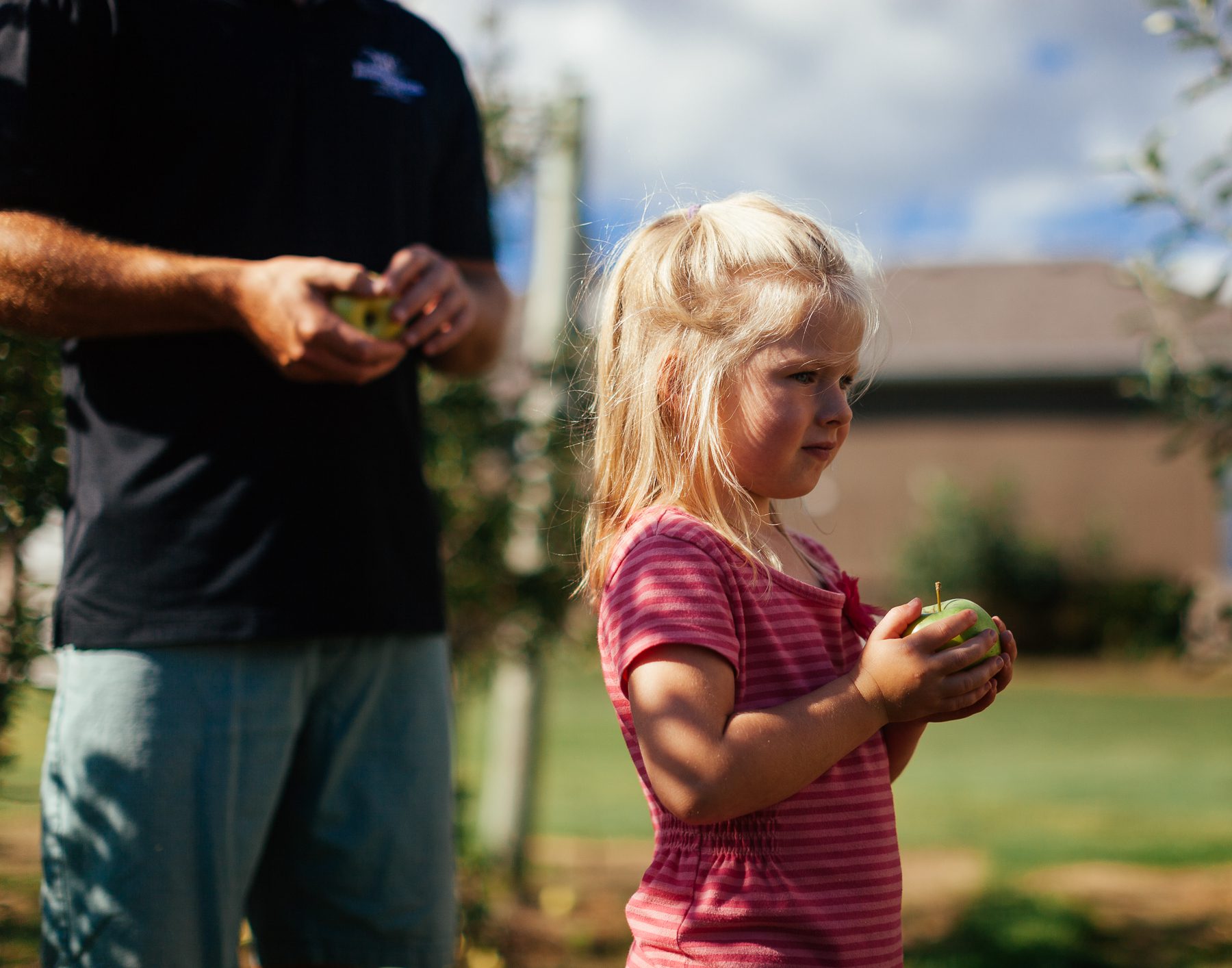 They currently grow 23 different varieties of apples — ranging from a few table varieties to many hard cider varieties. Recently, three of their hard ciders won top provincial awards. 