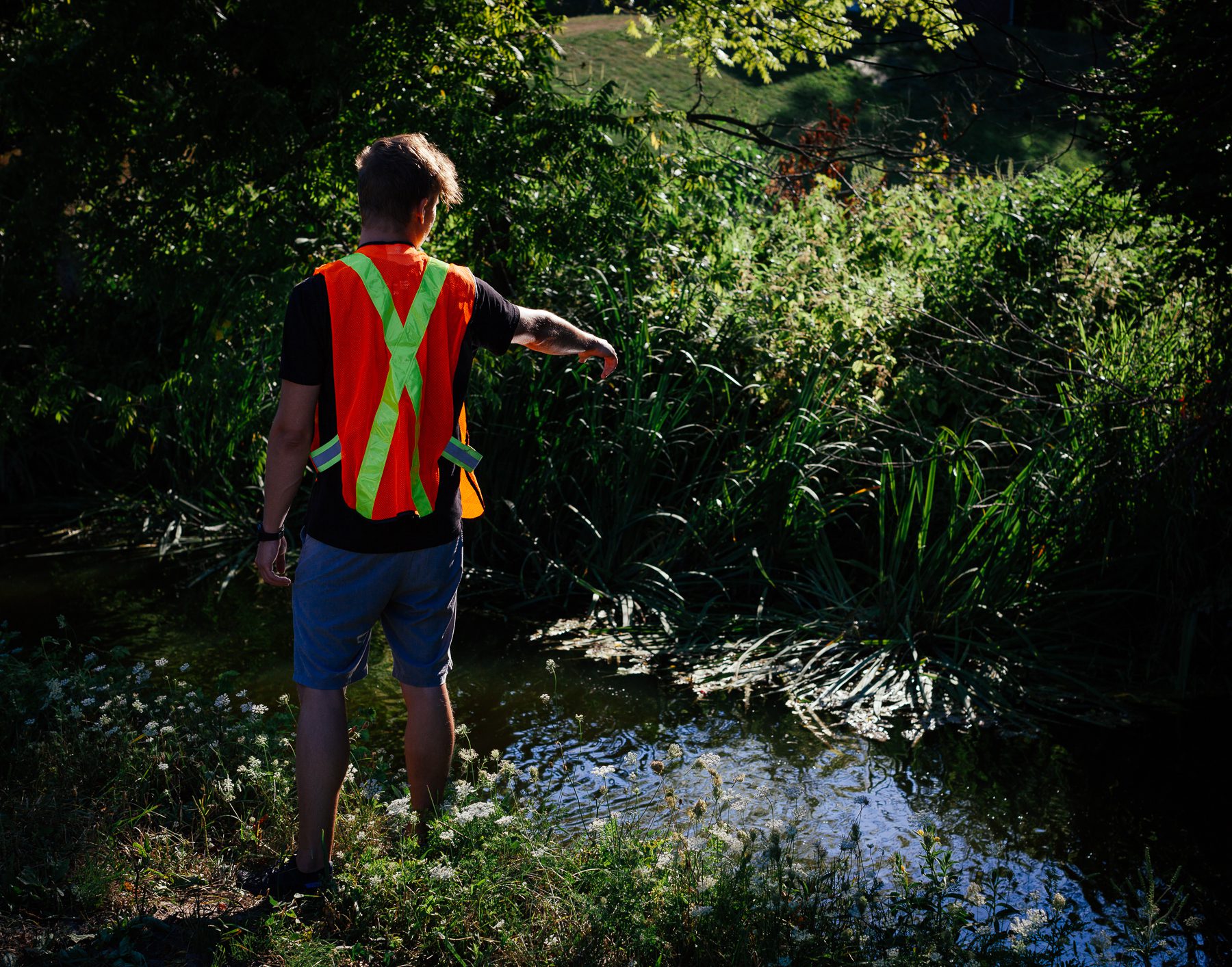 Gregary points to an example where natural wetland vegetation like cattails or sedges is present in a municipal drain. The more natural wetland vegetation exists, the less likely phosphorus loading will occur, which will reduce the lake's algae.