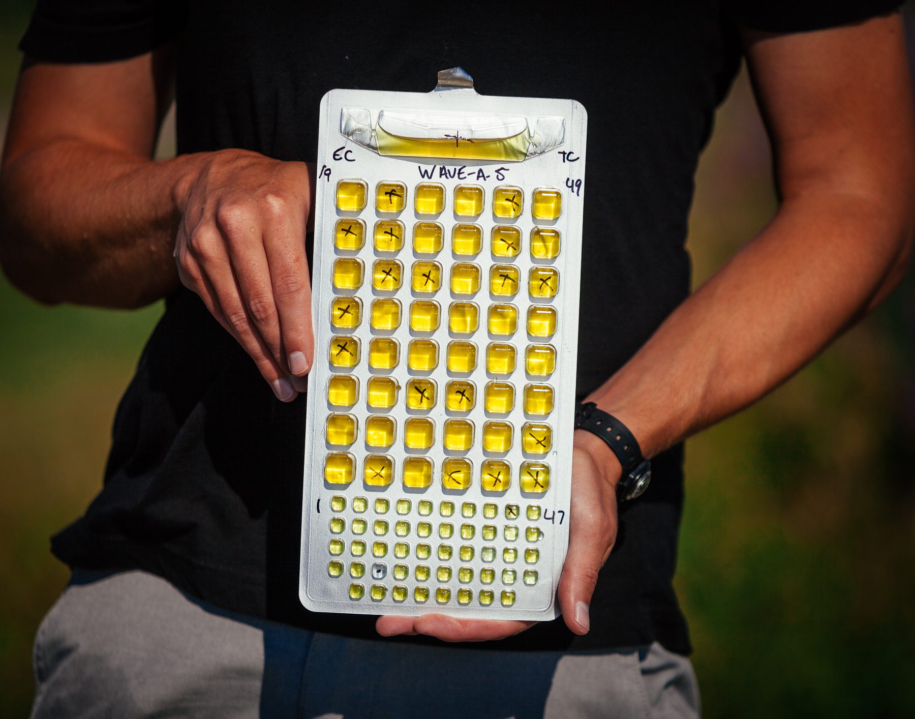 Gregary holds the test for bacteria, specifically E.coli (Escherichia coli) levels. 