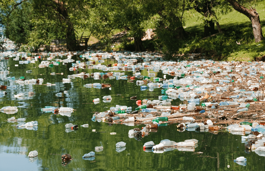 Plastic Pollution in Canada