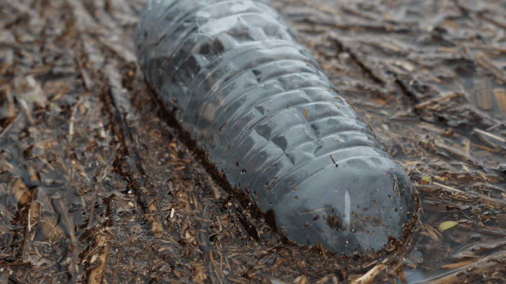 littered plastic bottle in the environment