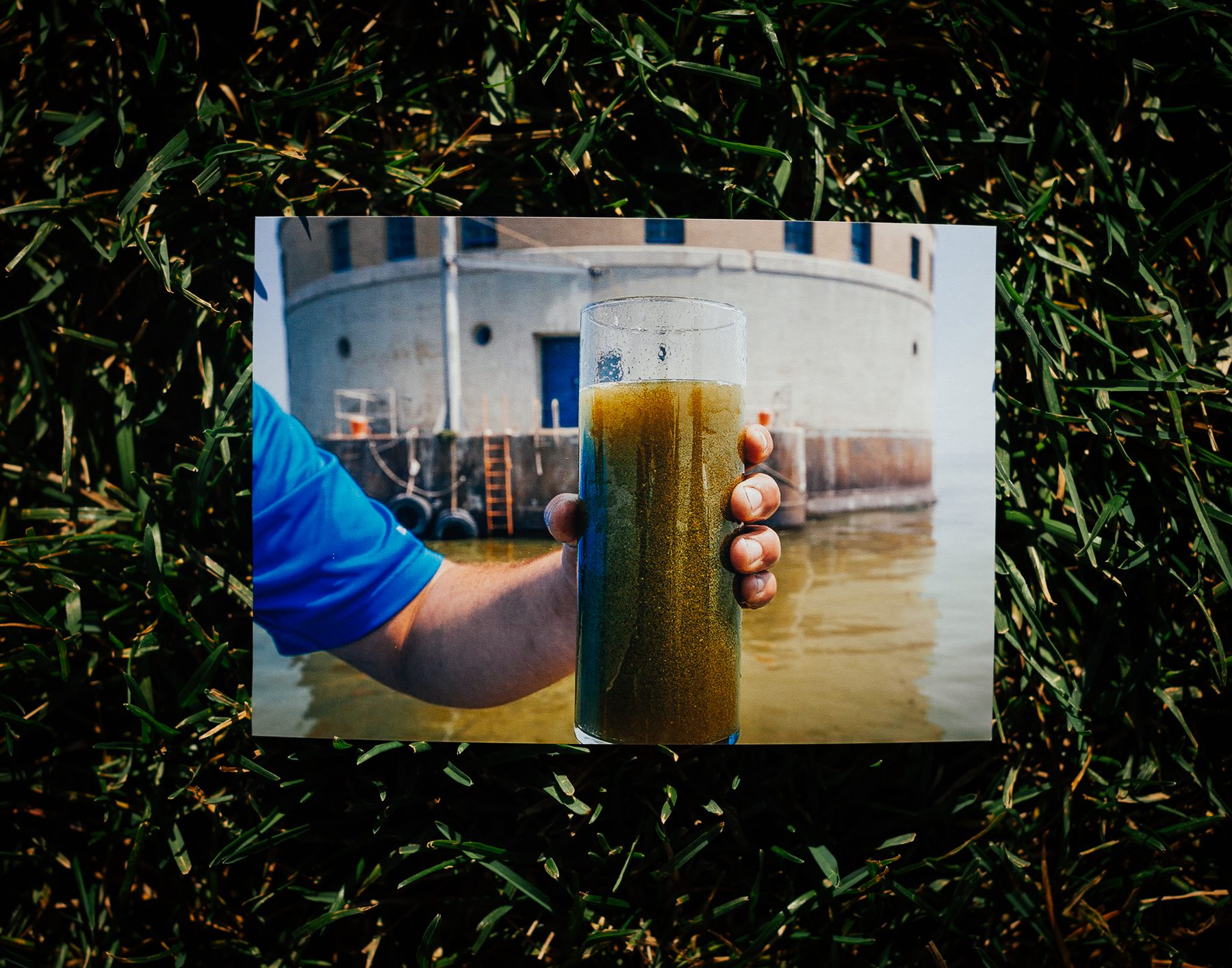 This is a photograph of an image by photographer David Zapotosky taken on August 3, 2014. It shows a glass of water being held up in front of Toledo’s water supply intake. In August 2014, phosphorus run-off was so bad that the city of Toledo, at the lake's western tip in Ohio, lost drinking water for three days ( in the hottest part of the year). 