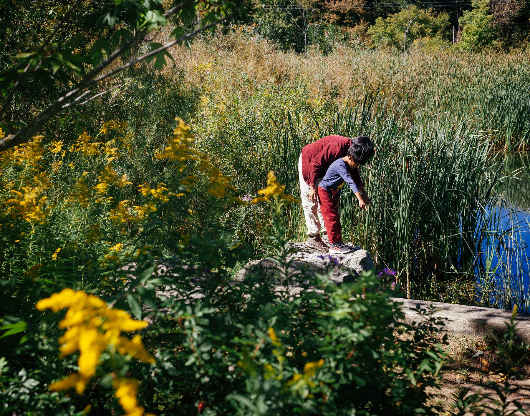 Nandita and Rayan at the Laurelwoods Stormwater Treatment area near her home. She is interested in, and enjoys sharing with her son, how “green infrastructure” like stormwater treatment areas help reduce nitrogen and phosphorus and purify water before it goes into streams.