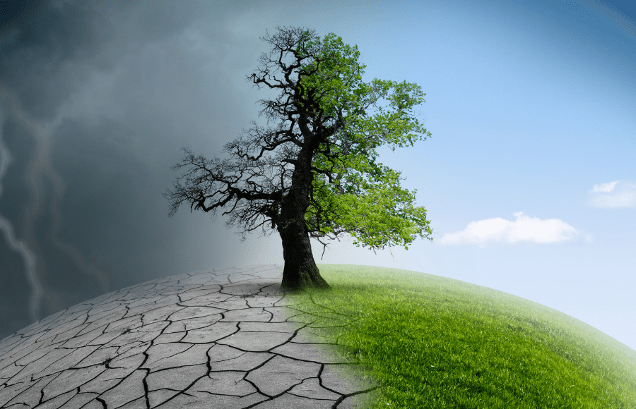 HOT HOT AIR (and other gases): A REVIEW OF THE PAST FOUR YEARS OF ONTARIO’S CLIMATE CHANGE (IN)ACTION