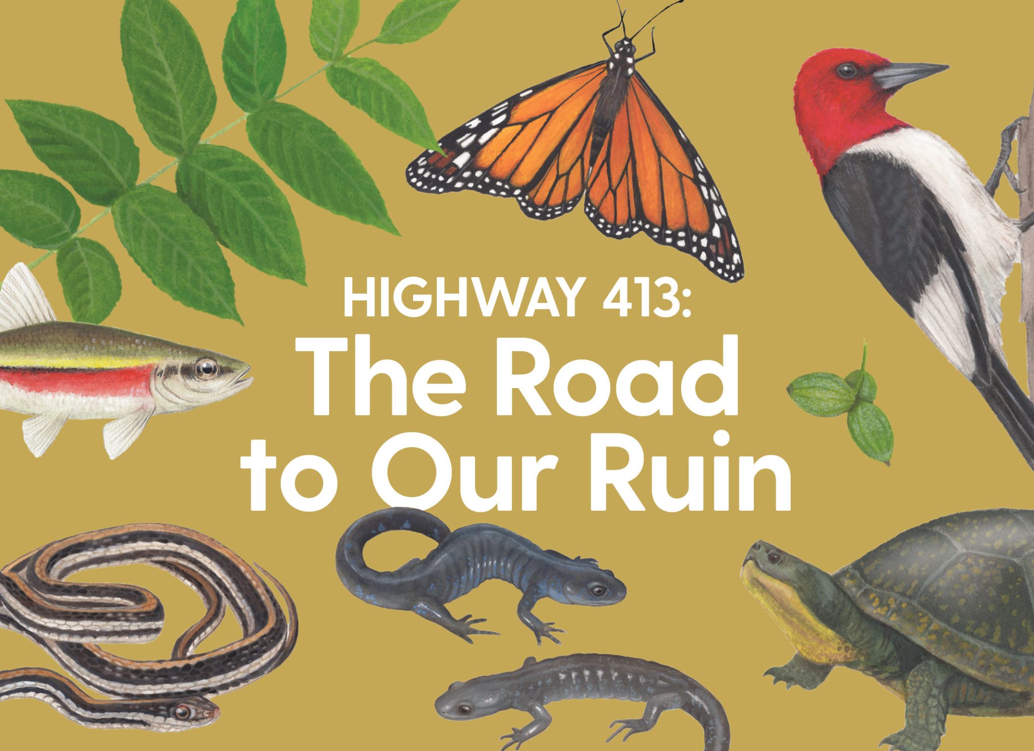 HIGHWAY 413: