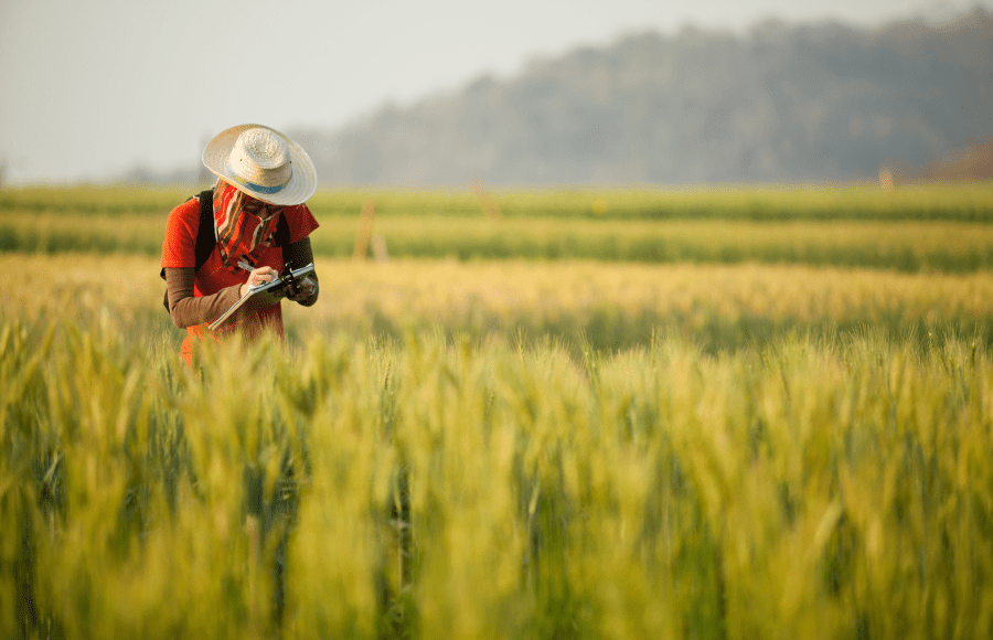 Is Canada’s Impact Assessment Act working?