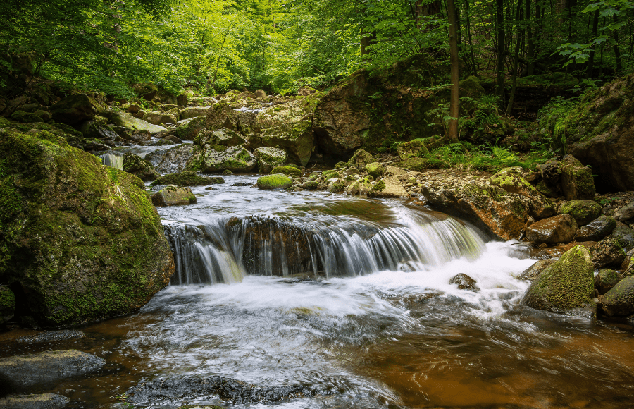 Yours To Recover: A Progress Report on Ontario’s Climate Change Actions