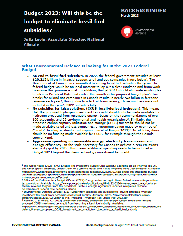 Cover Backgrounder Fossil Fuel Subsidies Budget 2023