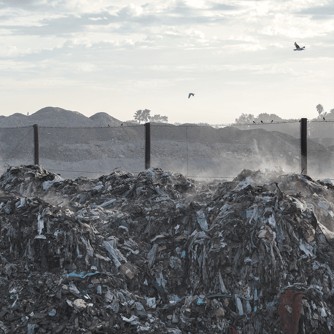 Garbage-1