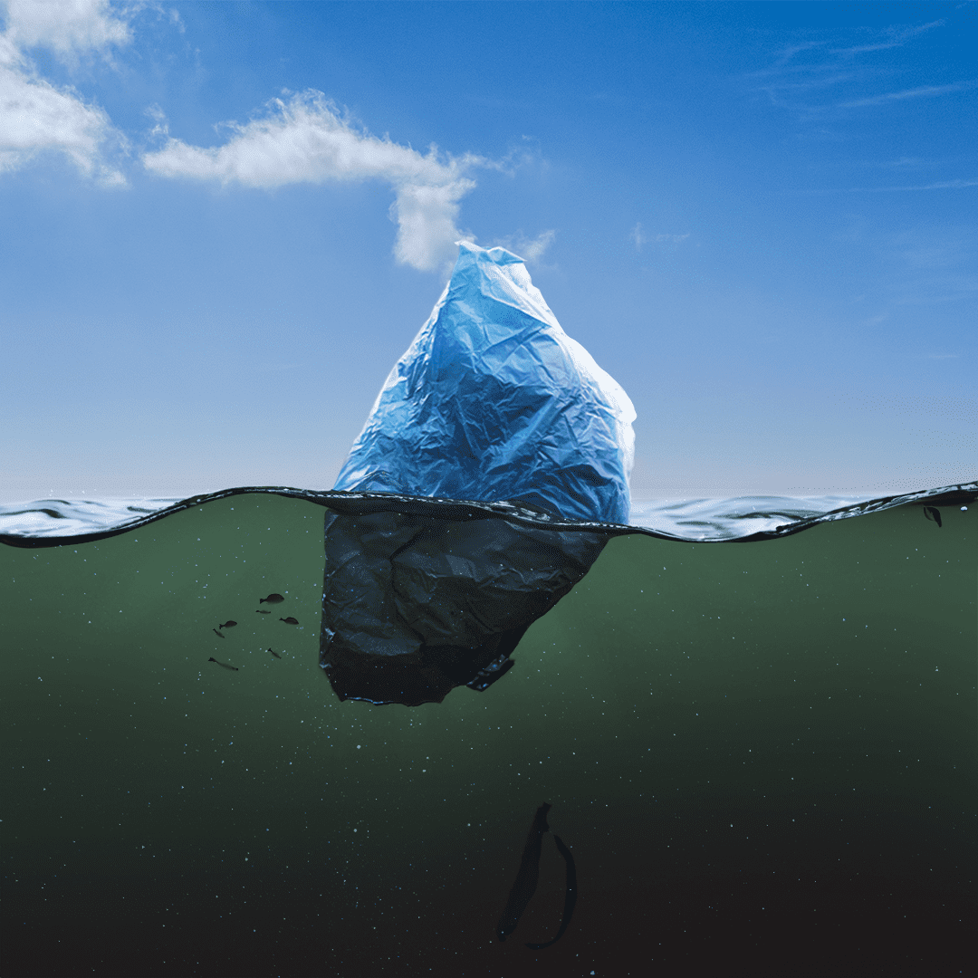 Iceberg-3