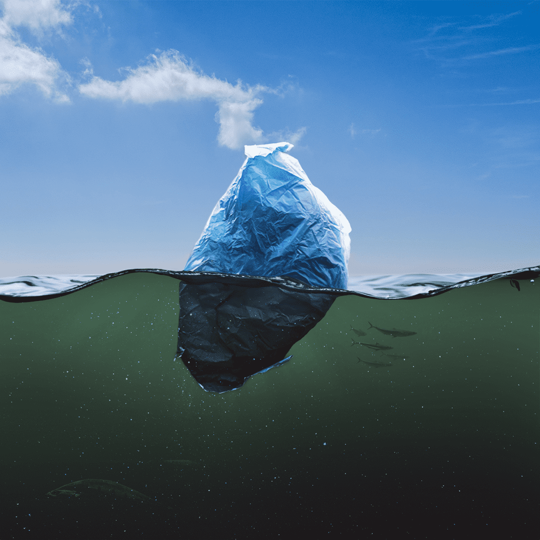 Iceberg-4