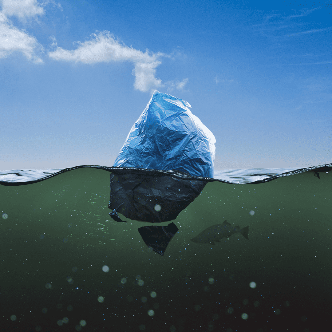 Iceberg-5