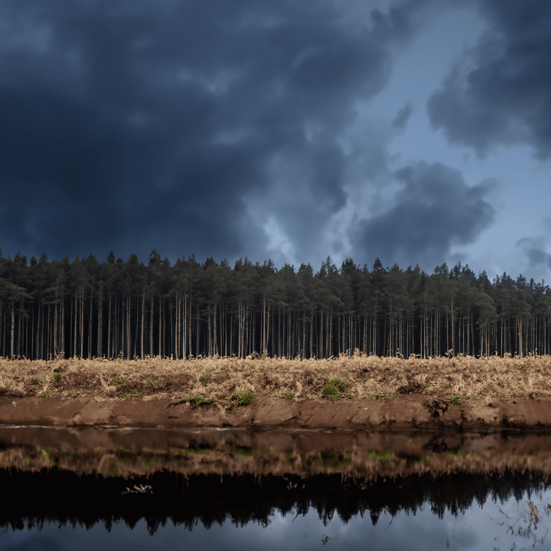 Tailings-Pond-4