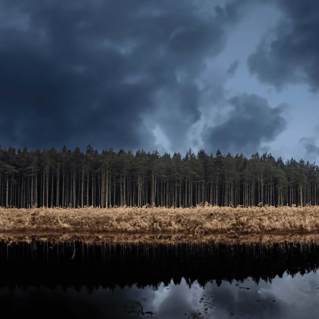 Tailings-Pond-5