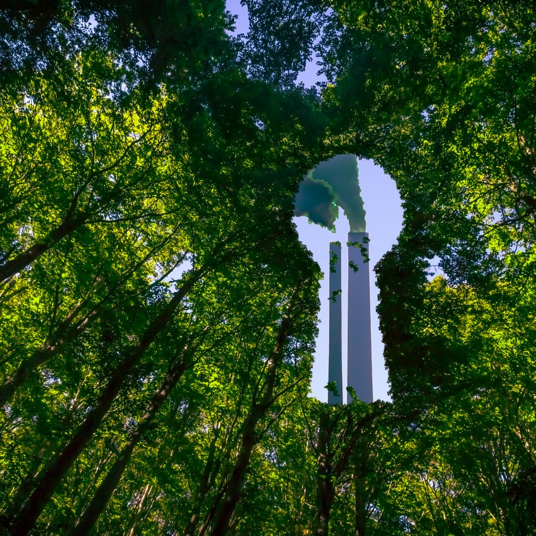 Greenwashing