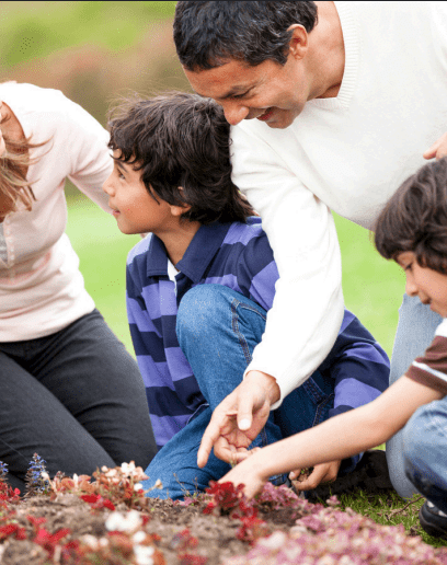 Family Tending to their Vegetable Garden Reconnect Photo