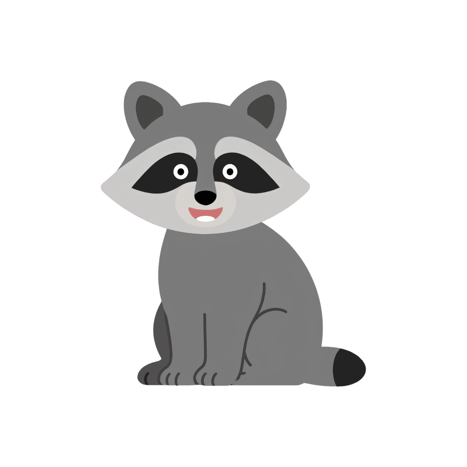 Raccoon